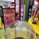 위글위글남산타워 | [서울 실내 가볼 만한 곳] 압구정 로데오 핫플 위글위글집 도산 방문기 및 패밀리 페스타 세일 정보