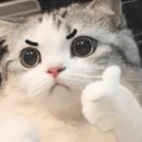 도신로60길 이미지