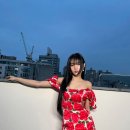 플라워지니 이미지