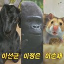 미스터 주 이미지