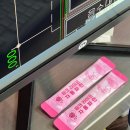 혈당관리 면역력강화 다이어트 착한효소 후기 :: 핑크라이프 자몽파인 효소
