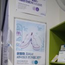 크린토피아용화 이미지