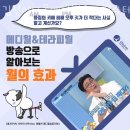 김진미다옴메디월요가필라테스