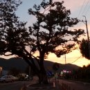 동*김* 이미지