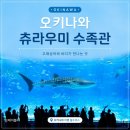 푸른수족관 - 나주시 나주로 142-29 | 오키나와 여행 필수 코스 츄라우미 수족관 다녀온 후기