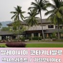 넥서스투어 이미지