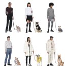 Refine dog 이미지