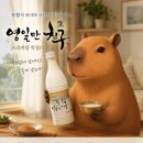 웰빙요리 | 포항공대 기술로 만든 막걸리 !! 포항 여행 가면 꼭 마셔봐야 할 영일만친구 막걸리