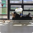 바우라움 메인캠퍼스 이미지