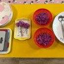 진달래유치원 이미지