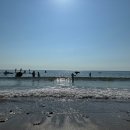 의항해수욕장 입구 이미지