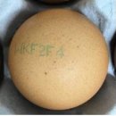 환희축산 이미지