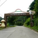 솔숲과 바다 이미지