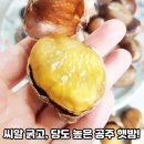 [모야모야] 공주햇밤 칼집밤/깐밤 이미지