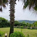 클로버비앤비 | 클로버비앤비 / 제주도 성산읍 성산일출봉 근처 아기자기한 숙소🏝️🏡
