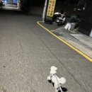 규비부티크 이미지