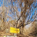 대항새바지 이미지