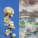 기공체조 이미지