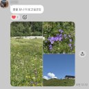 천천히, 더 천천히- 주워 섬기는 날들.