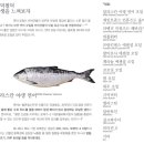 러블리 몽몽 이미지