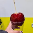 수락산역탕후루 수락산붕어빵 링고아메 첫 후기! [팡팡탕후루]