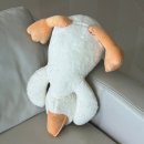 장발장이 되