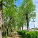 안산천남로 이미지