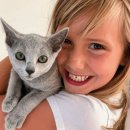 애묘(고양이)백과 - 러시안블루 (Russian Blue) 이미지