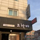 코하마 | 생일 기념으로 다녀온 코하마 식당 후기(+특별한 날, 특별한 선택)