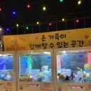 제주 시청 대형 술집 노가리앤비어 테마파크 놀거리 후기