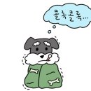 무무마켓