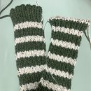 곡성본때 이미지