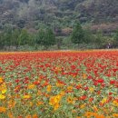 입동날입니다 이미지