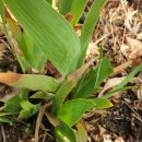 조은이네 이미지