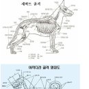 너무 궁금합니다. 이미지