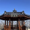 11545-01-52-08 | [한남정맥] 08-02 원적산 최단코스 (26.2.22)