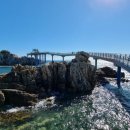 거진1리(백섬) 이미지