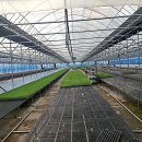 북부노인회관 앞 이미지