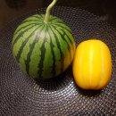 공공용 38 이미지