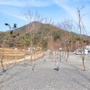 시냇가캠핑장 이미지