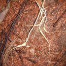 태기산농장 이미지