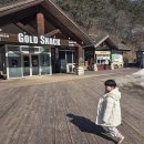 애니라온 | 평창 아이와 가볼만한곳 모노레일 알파카가있는 모나용평 애니포레