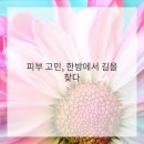 미래웰 생활건강 이미지