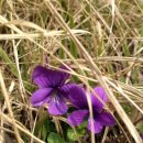 크린 스마트 이미지