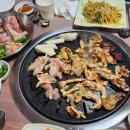 민주댕이 이미지