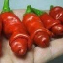 고추 말리는 중인디유? 이미지