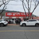 굴다리식당 | 경매 후 들른 수성 맛집, 굴다리 식육식당 솔직 후기