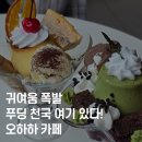 불당동공영주차장 화장실 | 천안 불당동 푸딩 파르페 맛집? 카페 오하하 강추
