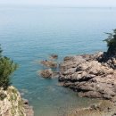 솔의향기 이미지