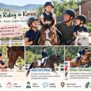Horse Riding in Korea: Discover Familie Equestrian Club Near Seoul﻿ 이미지